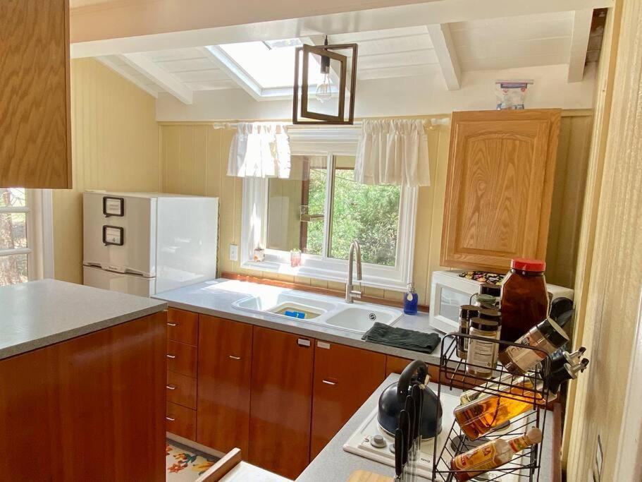 Snow Bunny Cottage, Pets Welcomed! Green Valley Lake Esterno foto