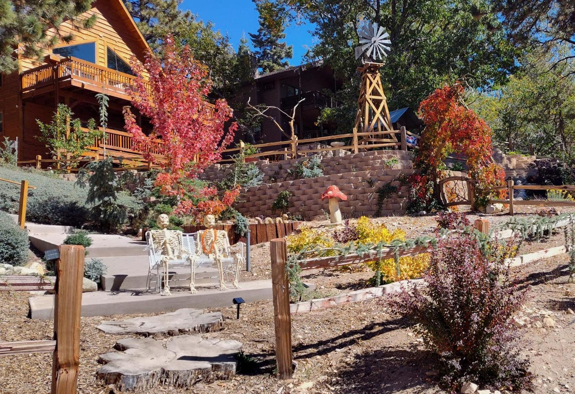 Snow Bunny Cottage, Pets Welcomed! Green Valley Lake Esterno foto