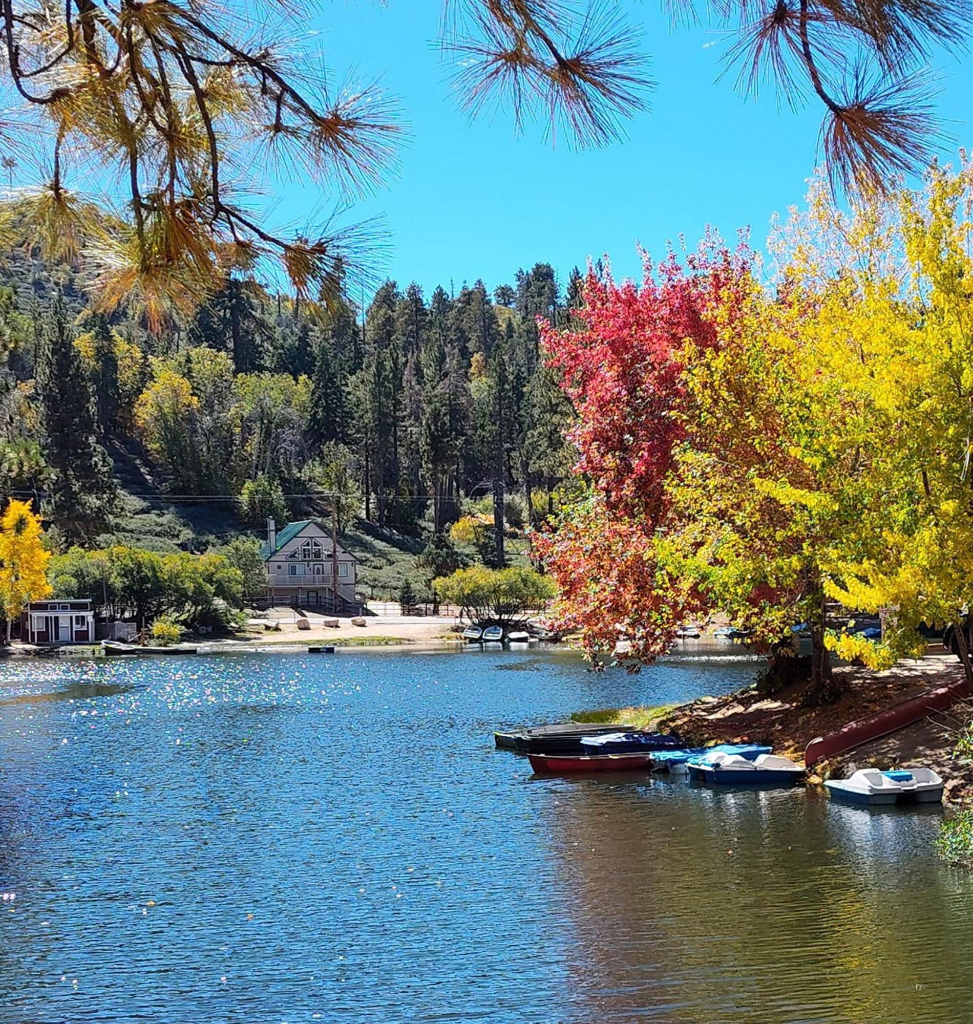 Snow Bunny Cottage, Pets Welcomed! Green Valley Lake Esterno foto