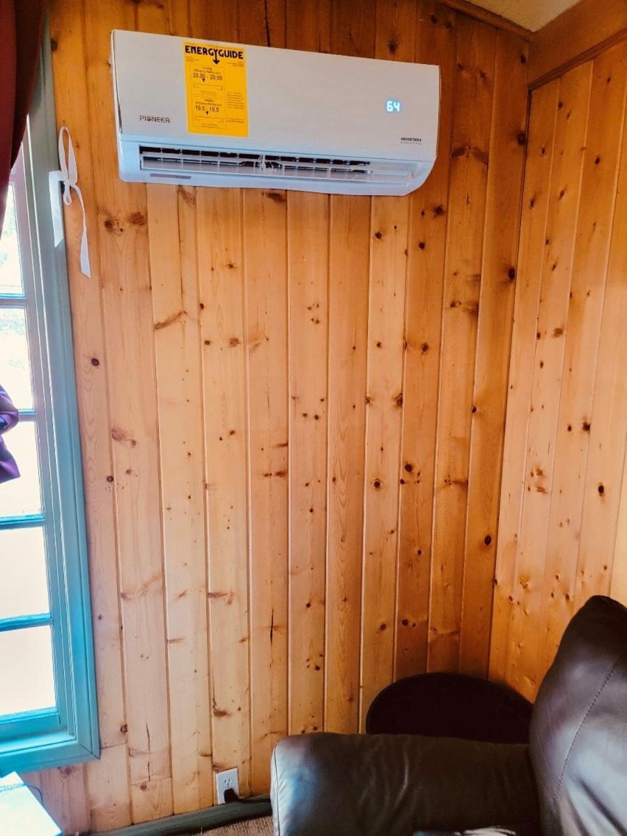 Snow Bunny Cottage, Pets Welcomed! Green Valley Lake Esterno foto