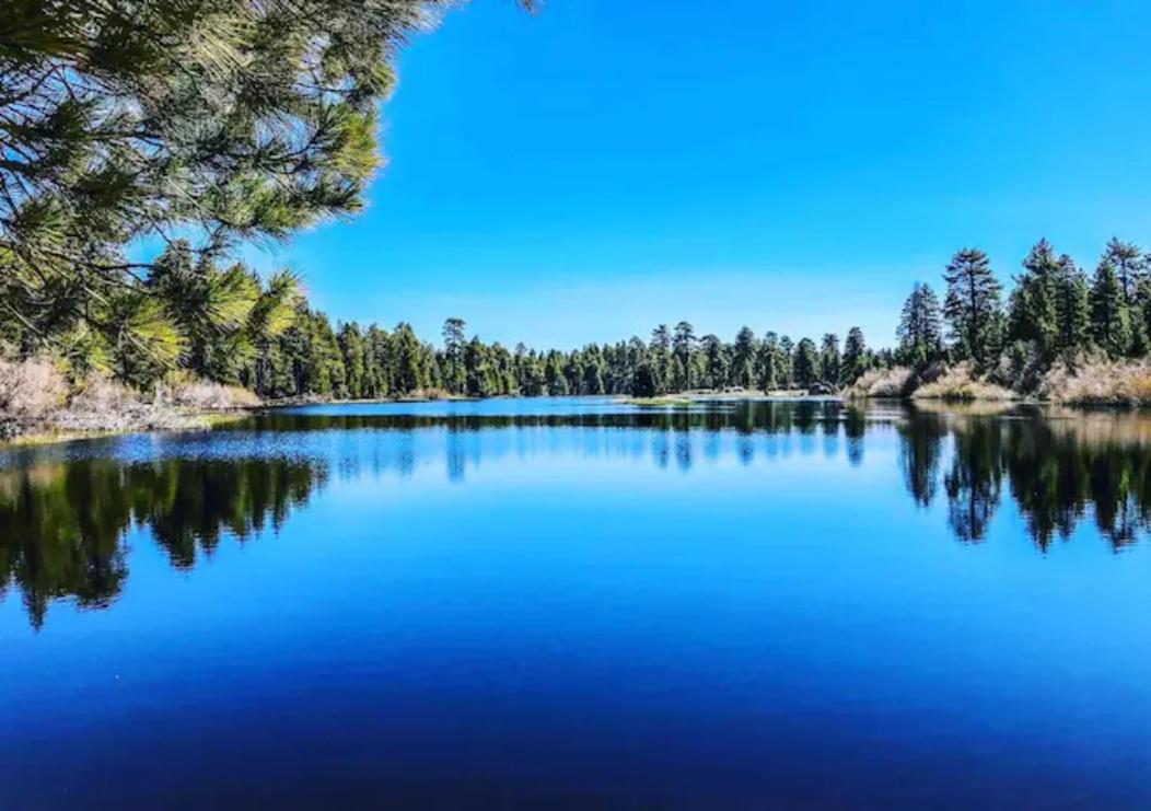 Snow Bunny Cottage, Pets Welcomed! Green Valley Lake Esterno foto