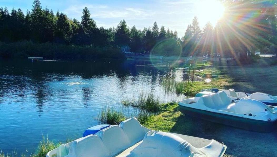 Snow Bunny Cottage, Pets Welcomed! Green Valley Lake Esterno foto