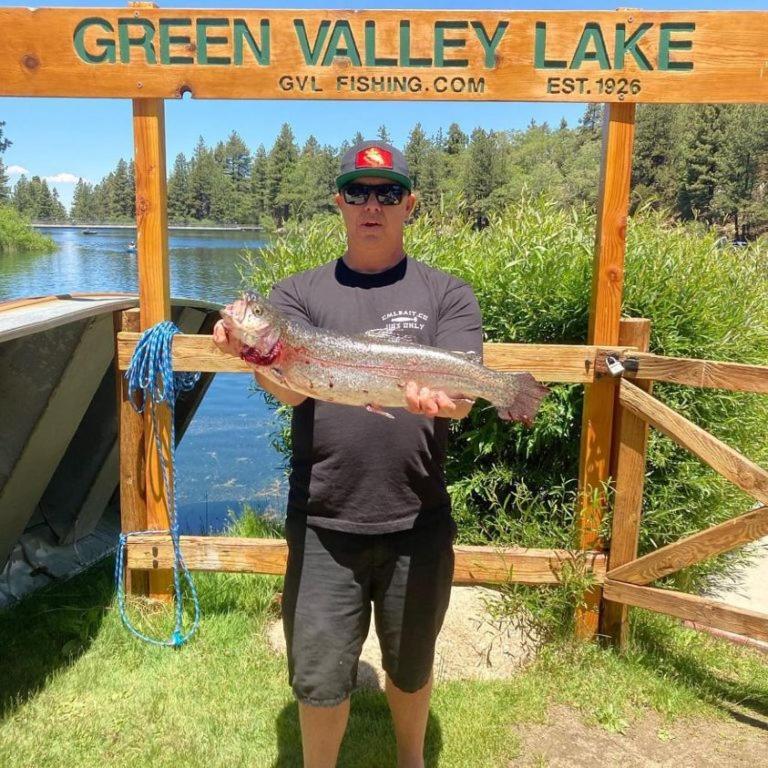 Snow Bunny Cottage, Pets Welcomed! Green Valley Lake Esterno foto