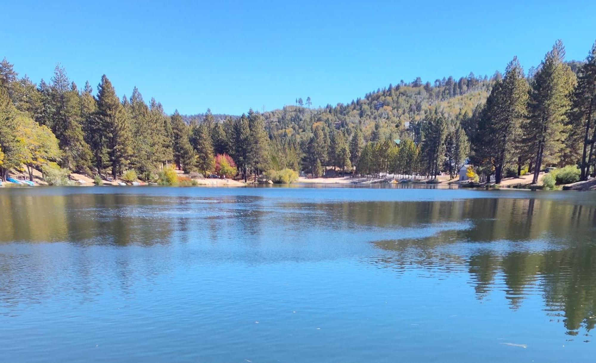 Snow Bunny Cottage, Pets Welcomed! Green Valley Lake Esterno foto