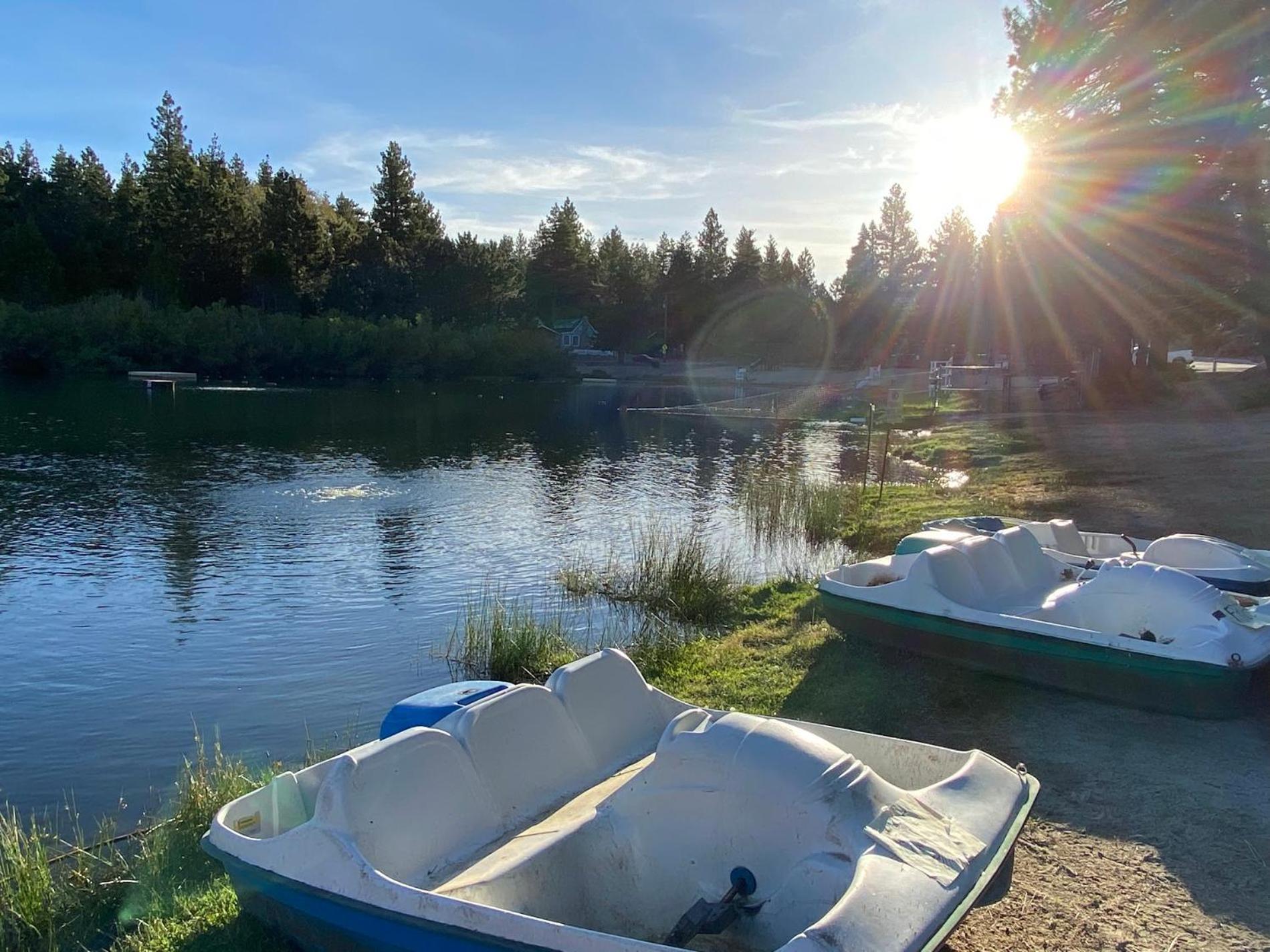 Snow Bunny Cottage, Pets Welcomed! Green Valley Lake Esterno foto