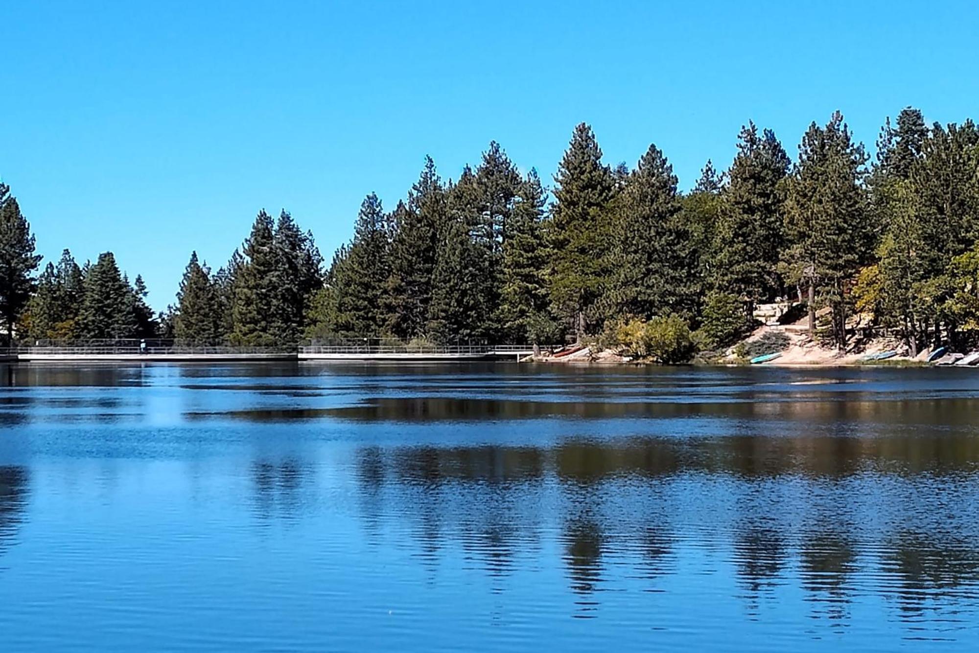 Snow Bunny Cottage, Pets Welcomed! Green Valley Lake Esterno foto