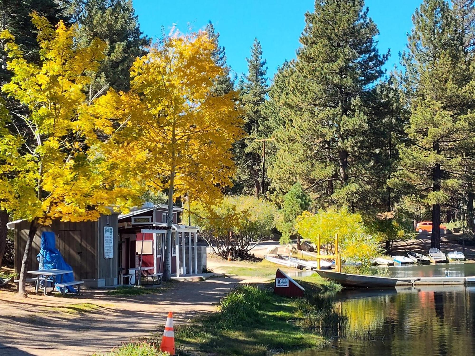 Snow Bunny Cottage, Pets Welcomed! Green Valley Lake Esterno foto
